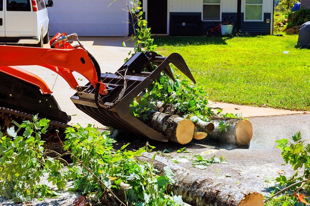 Commercial Tree Removal Brisbane