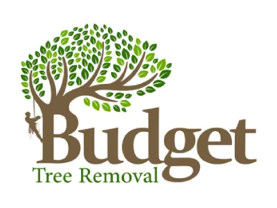 Budget Tree Removal