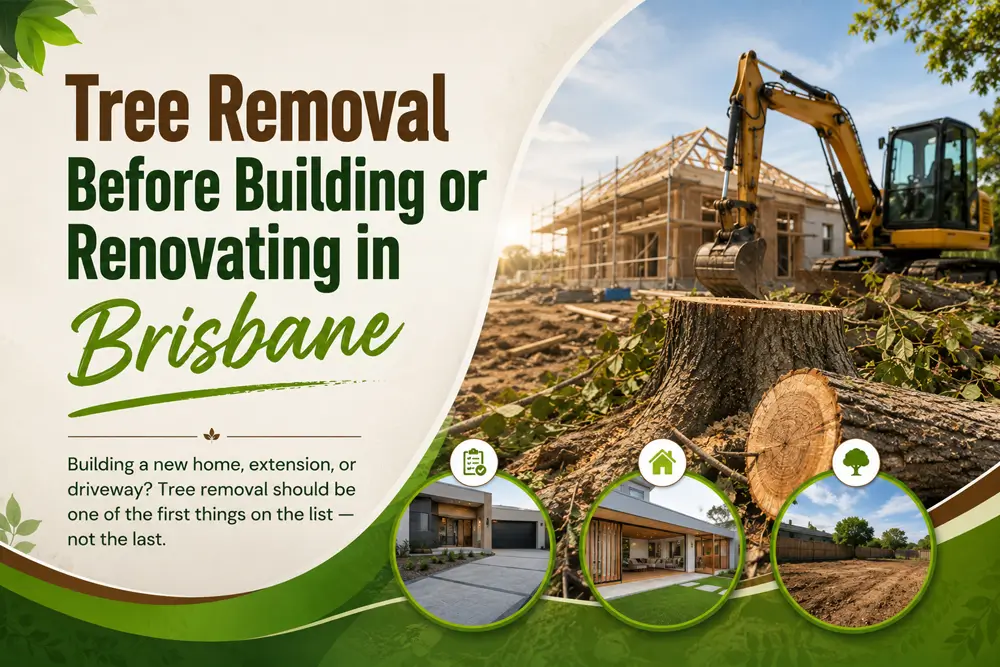 Commercial Tree Removal Brisbane