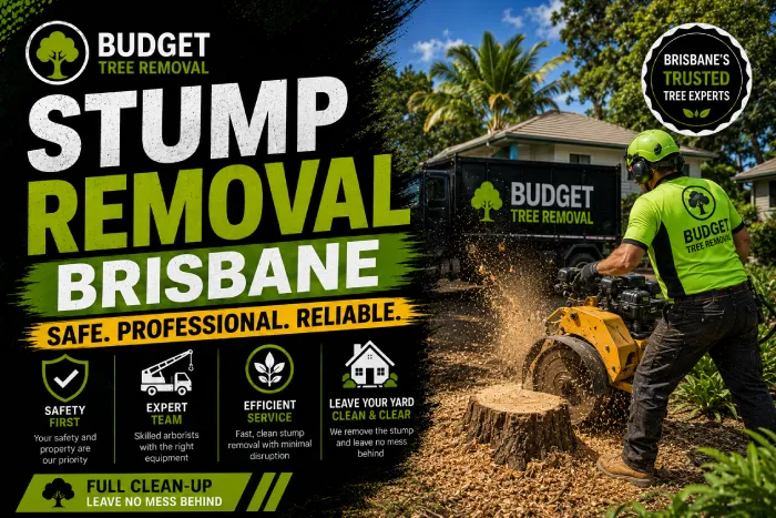 Stump Removal Brisbane