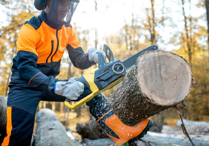Tree Felling Brisbane