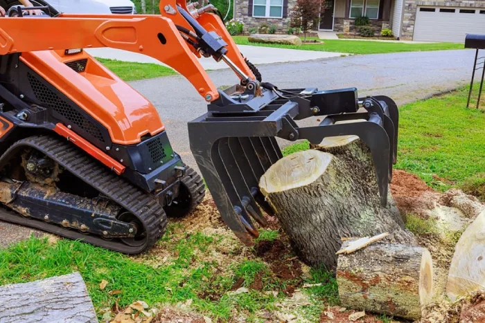 stump removal in Brisbane